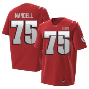 Emerson Mandell Wisconsin #75 2026 Jersey | Official Badgers Red Men College Football Uniform 74292273