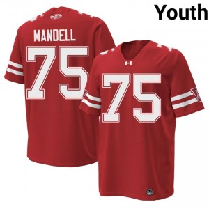 Authentic Emerson Mandell #75 Badgers Football 1980 Throwback Jersey | Red Youth High School Edition 90335568